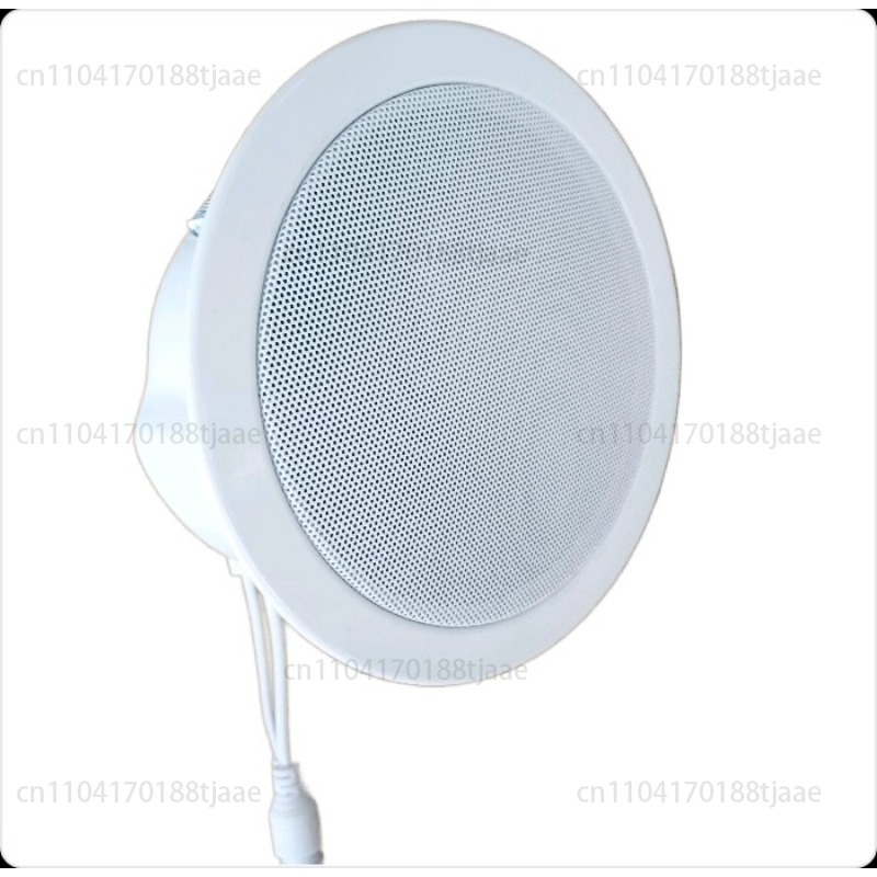 Audio Music Store - IP-netwerklidspreker, plaxaudio, hotelmelktheewinkel, achtergrondmuziek opslaan, stofdicht