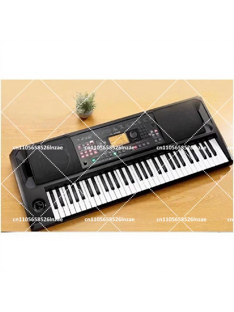 Professioneel Arranger Keyboar - Keyboard Piano 61 Key recensie en prijs