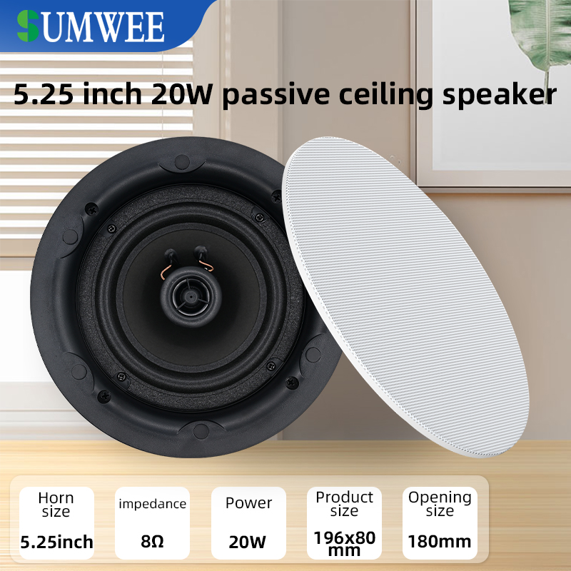5,25 inch 8 ohm plafondluidspr - Audio Music System For Home recensie en prijs