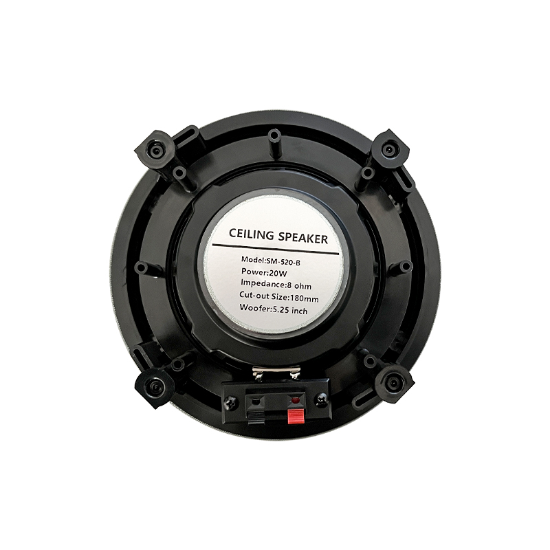 5,25 inch 8 ohm plafondluidspr - Audio Music System For Home recensie en prijs