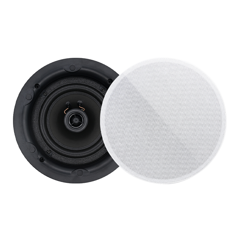 5,25 inch 8 ohm plafondluidspr - Audio Music System For Home recensie en prijs